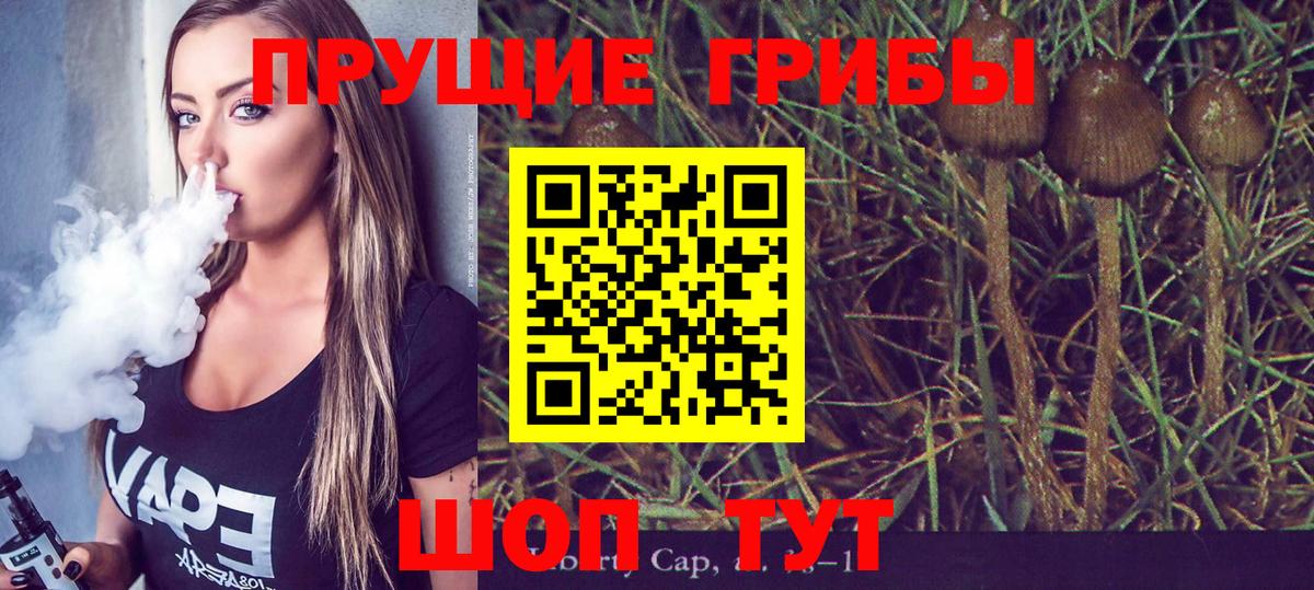 Псилоцибиновые грибы ЛСД  продажа наркотиков  Полысаево  Вход с VPN  Галлюциногенные грибы Cubensis 